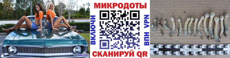 Псилоцибиновые грибы Psilocybine cubensis  Чёрмоз 